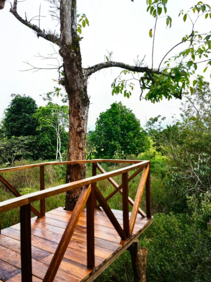 Onca Tours & Treehouses Katira Eksteriør billede