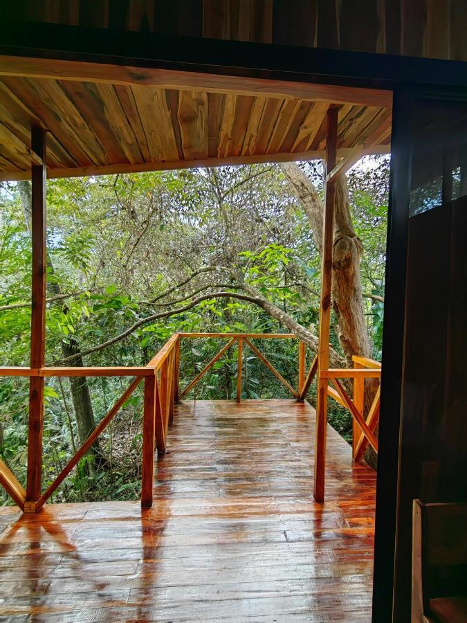 Onca Tours & Treehouses Katira Eksteriør billede